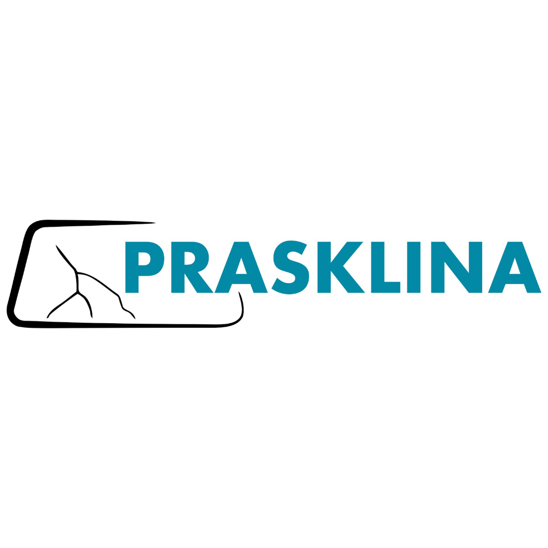 Prasklina